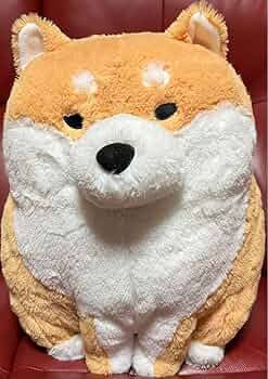 柴のふとし  STコンプリート ≪1月の新商品≫柴のふとし☆アミューズプライズ-NEW ITEM